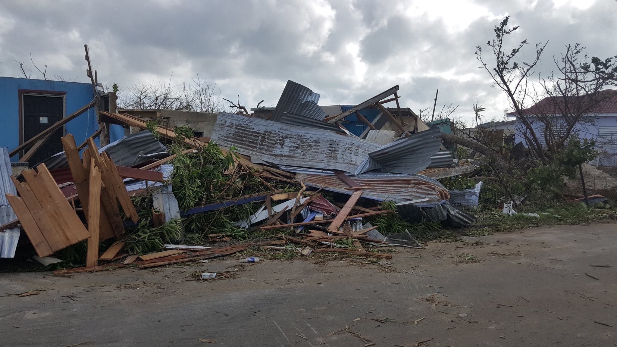 bonnieonbarbuda2.jpg