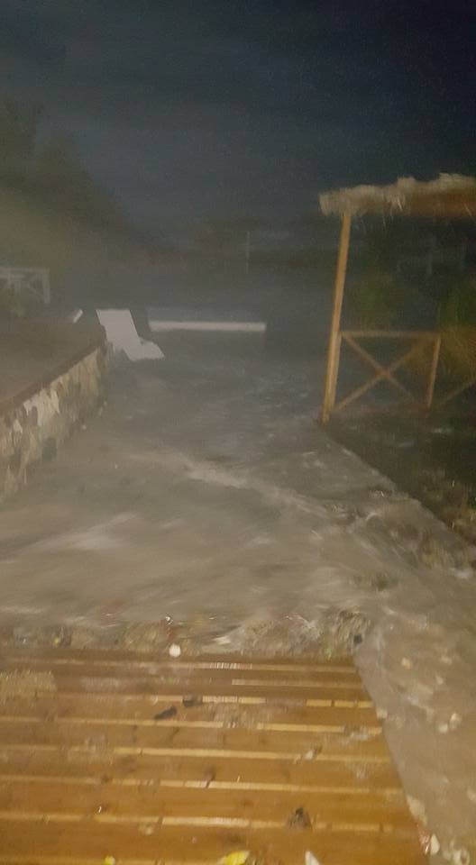 irma10.jpg