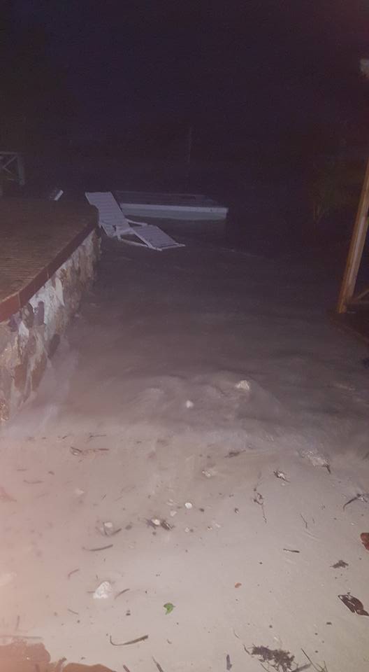 irma12.jpg
