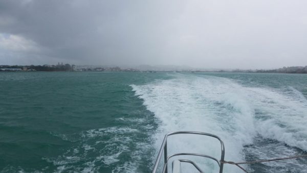 irmabarbuda090717-600x338.jpeg